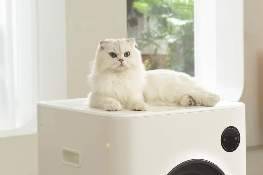 self-cleaning cat litter box